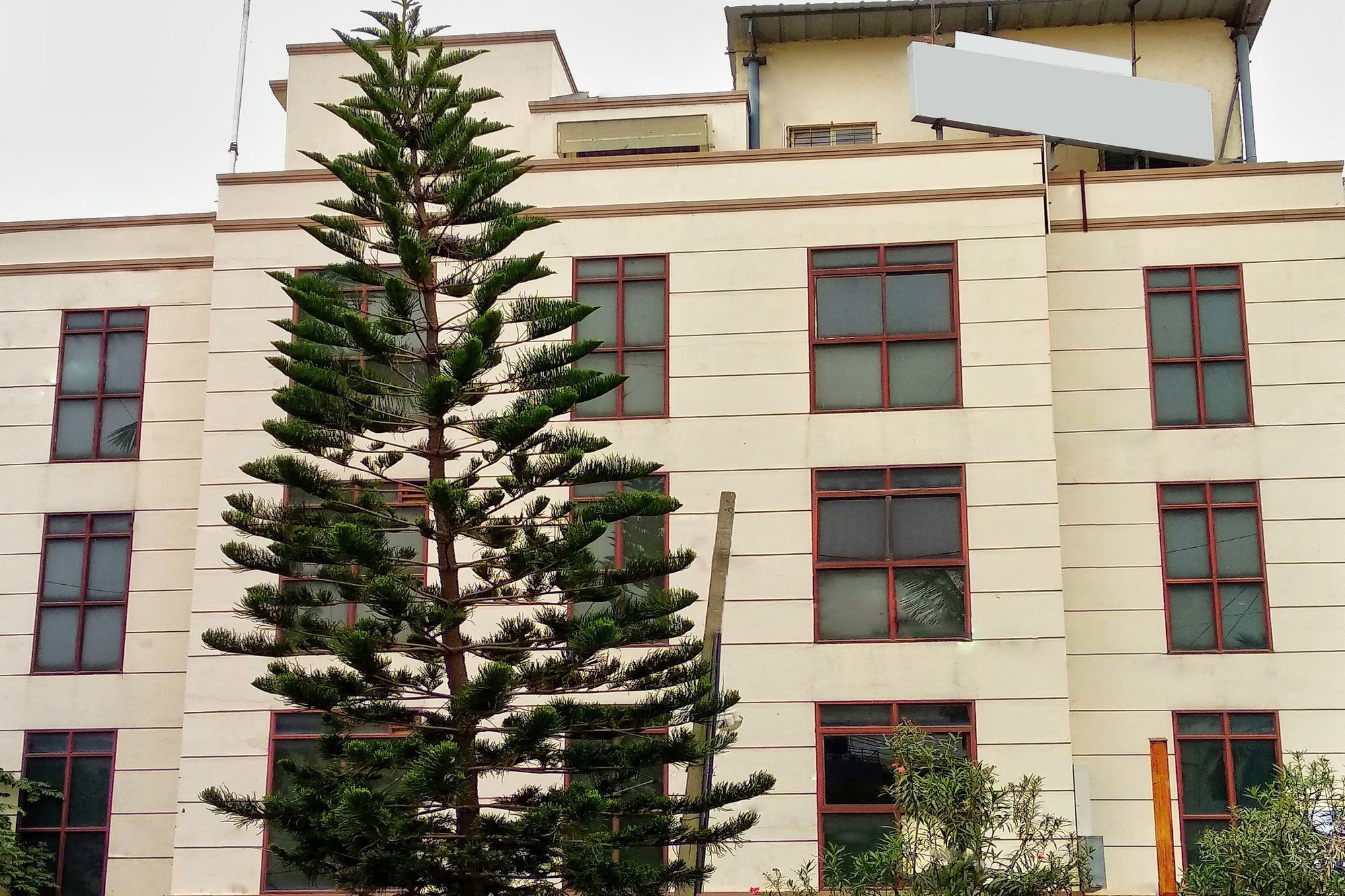 Oyo 539 Hotel Pearl Inn Bangalore Dış mekan fotoğraf